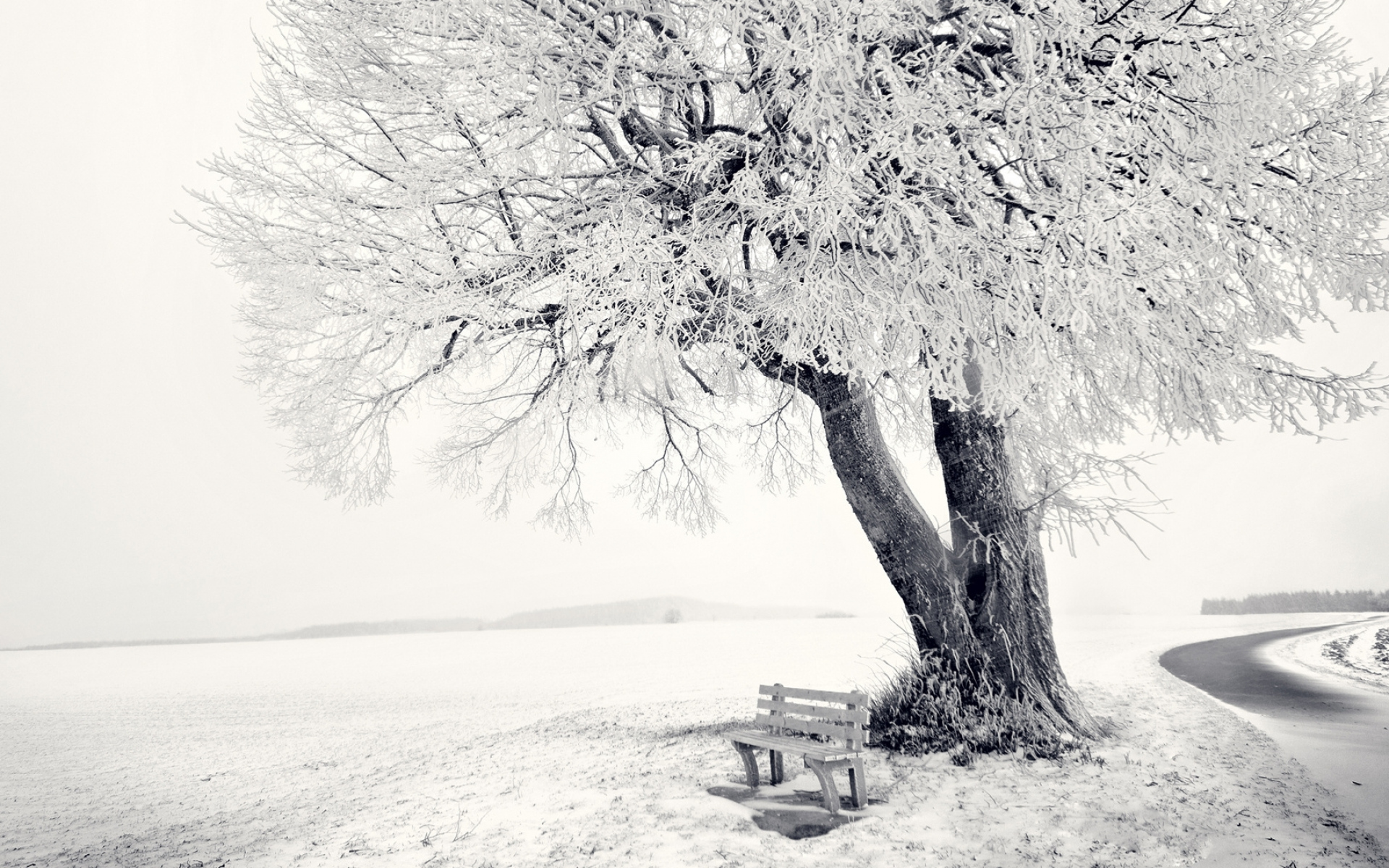 电脑主题图片大全 冬季雪景唯美自然风光图片(3)