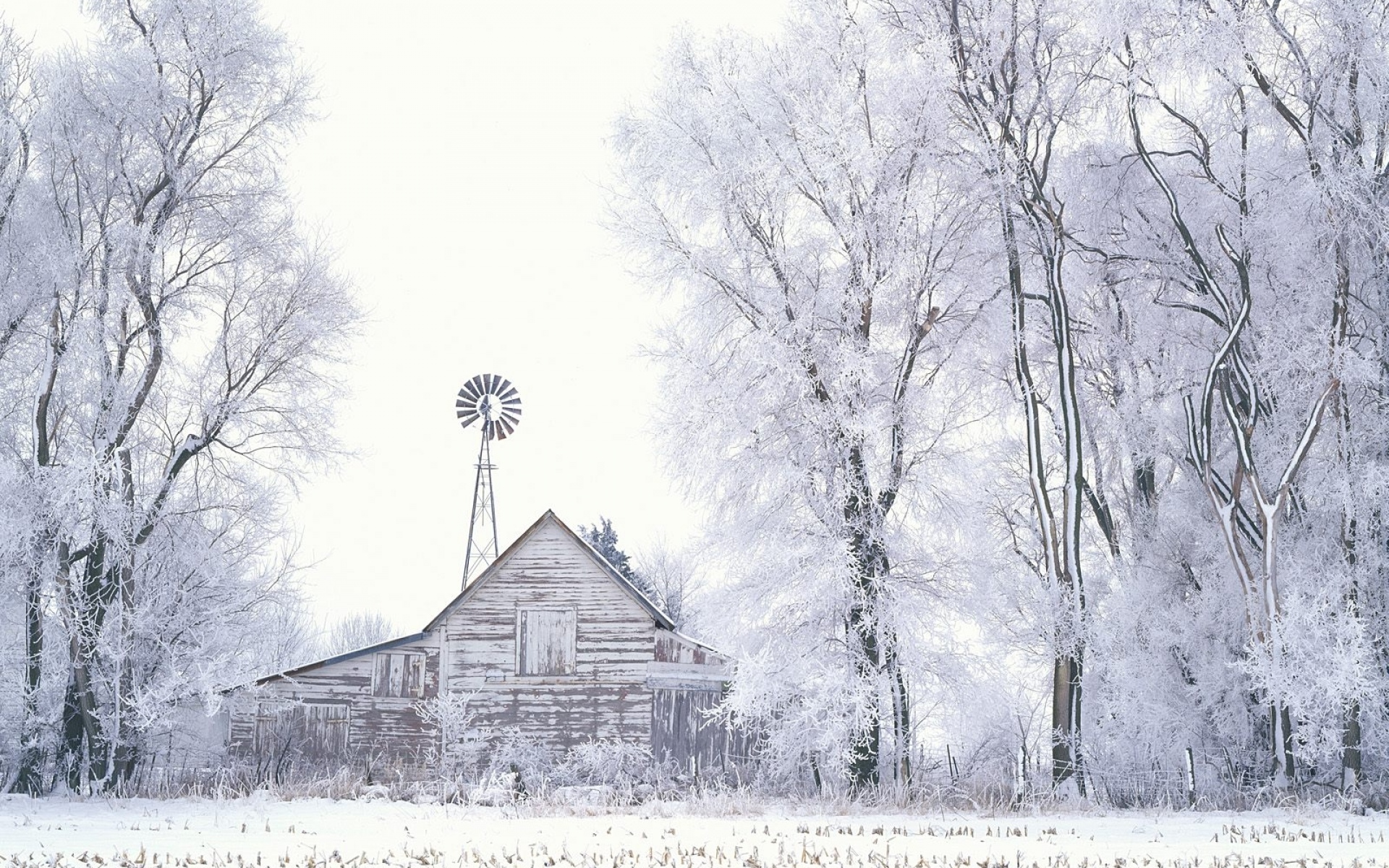 电脑主题图片大全 冬季雪景唯美自然风光图片(4)