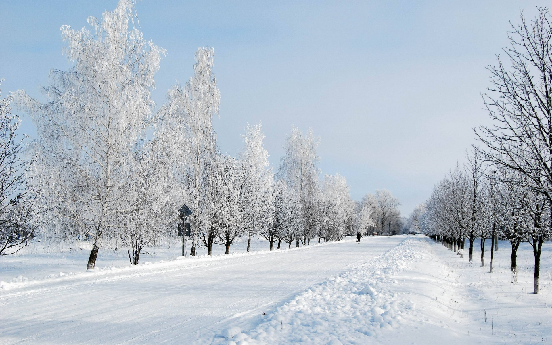 电脑主题图片大全 冬季雪景唯美自然风光图片(8)