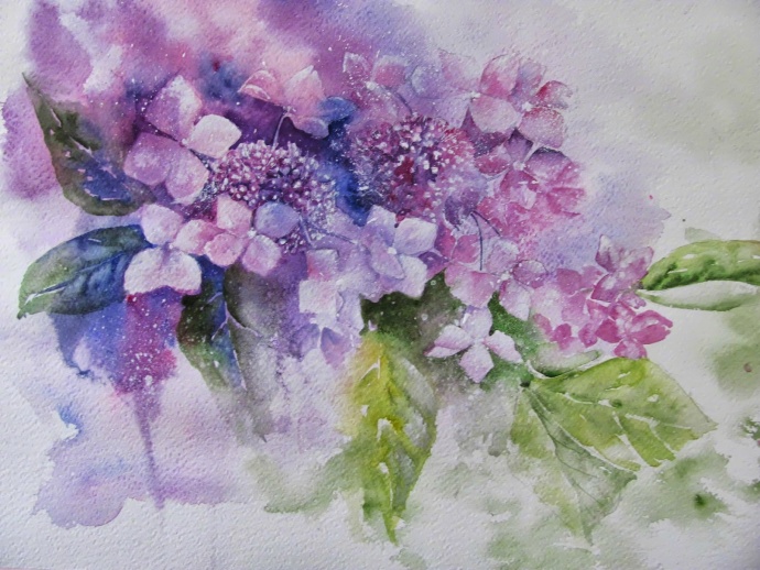 小清新植物图片手绘 水彩手绘小清新花卉