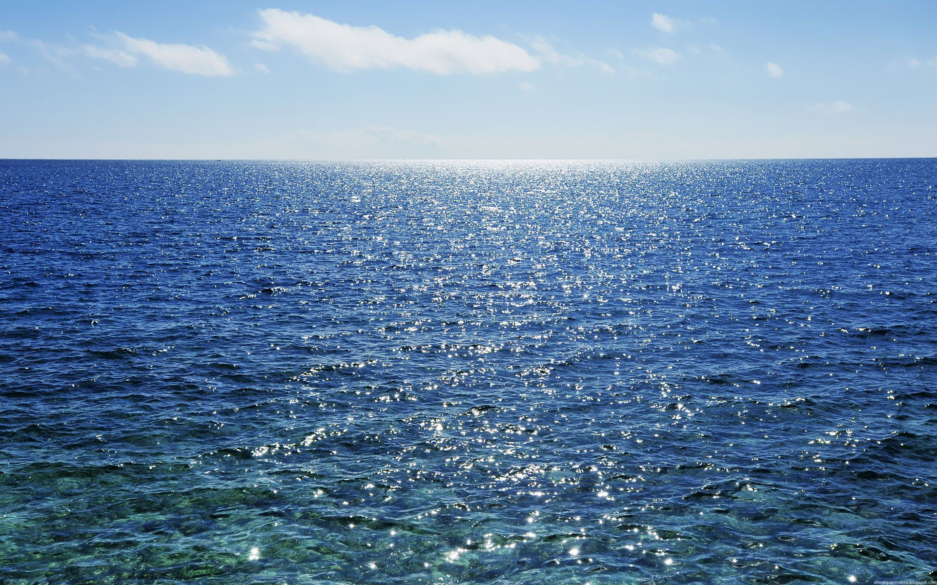 最漂亮的大海图片大全 关于大海的图片大全(4)