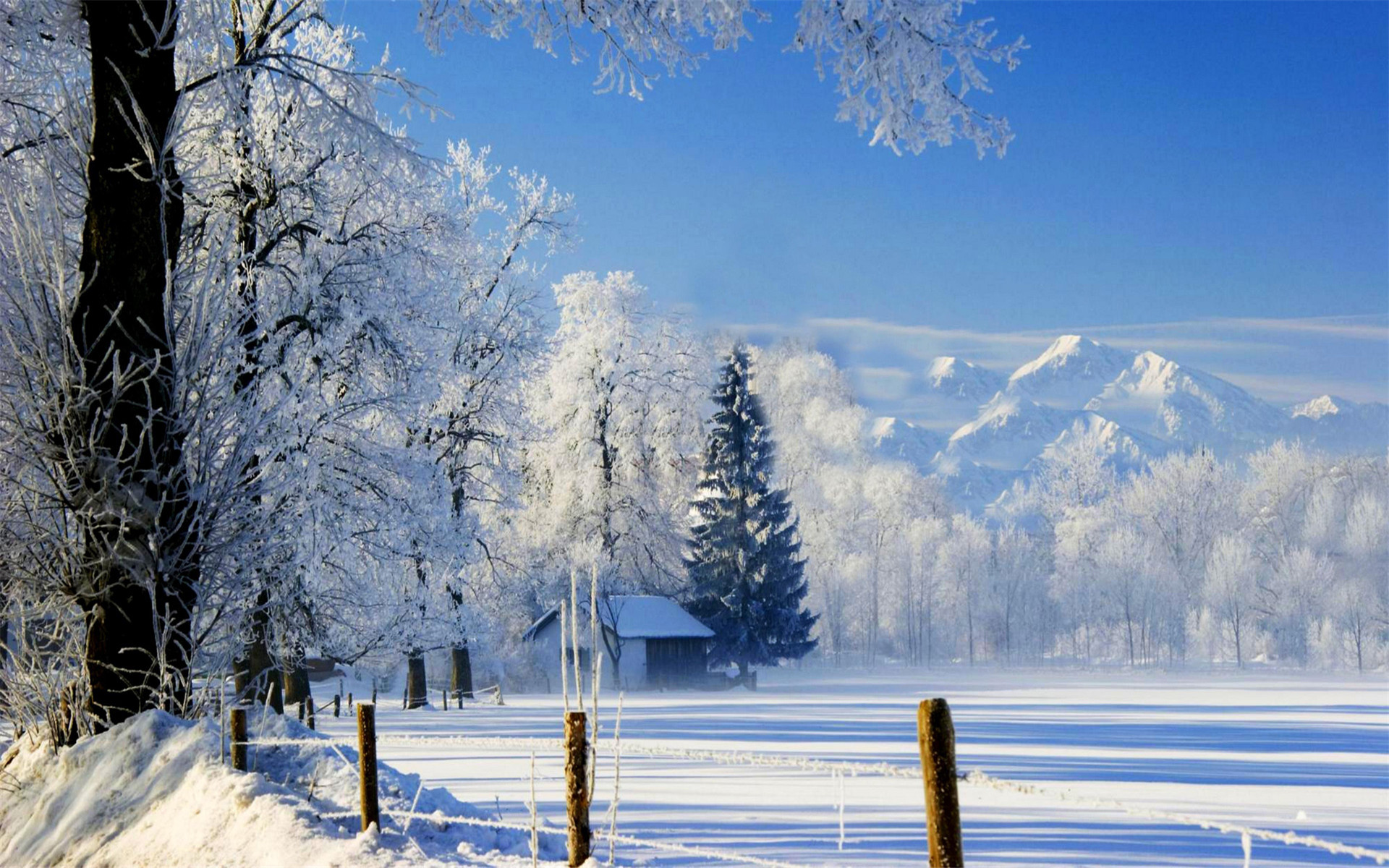 冬天雪景图片 冬天图片景色唯美图片(7)