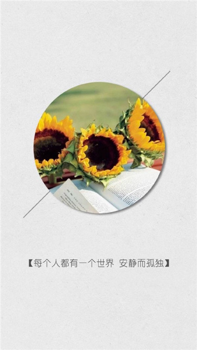 向日葵图片带字 向日葵的图片(5)