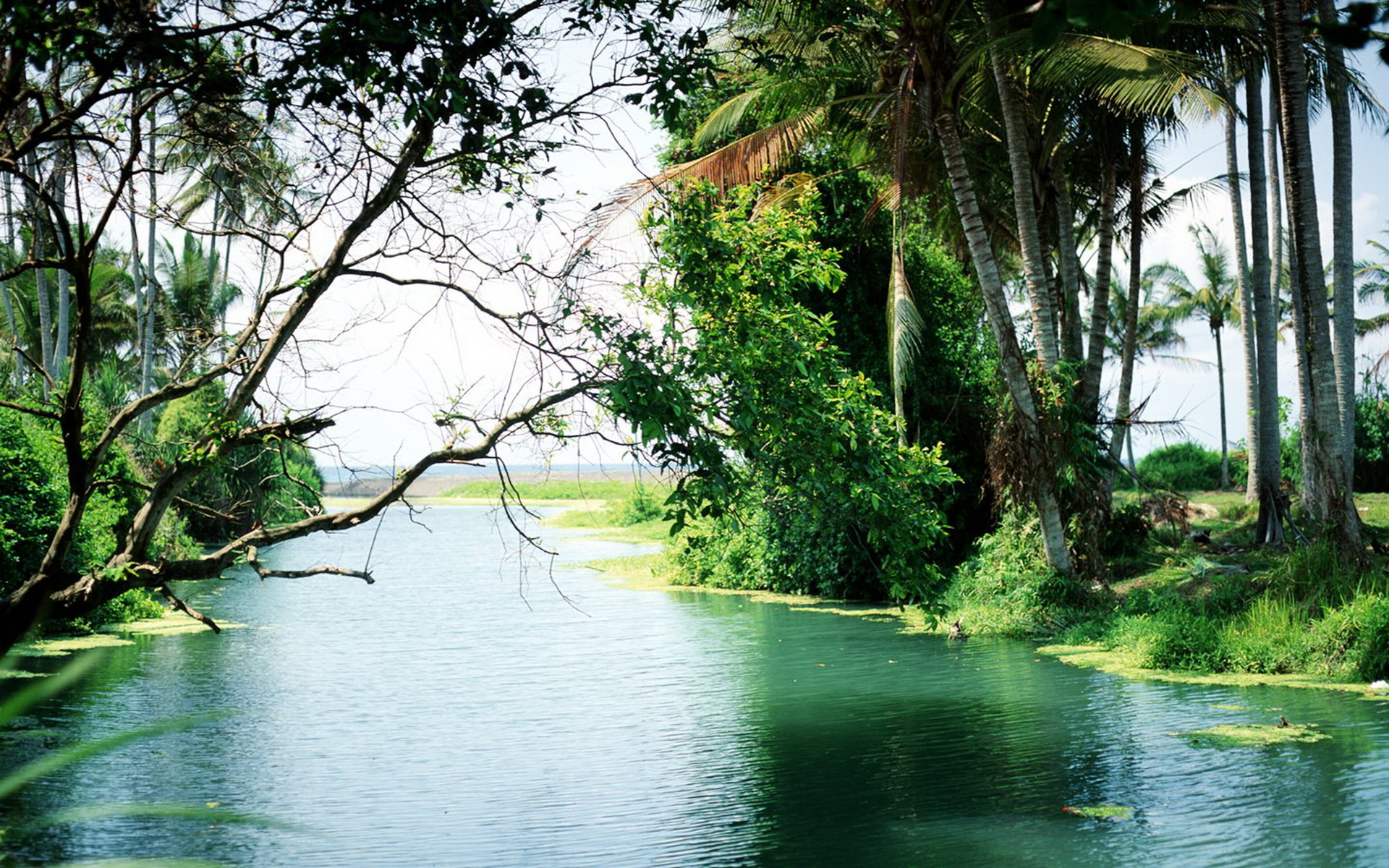 巴厘岛风景图片 巴厘岛唯美风景图片(2)