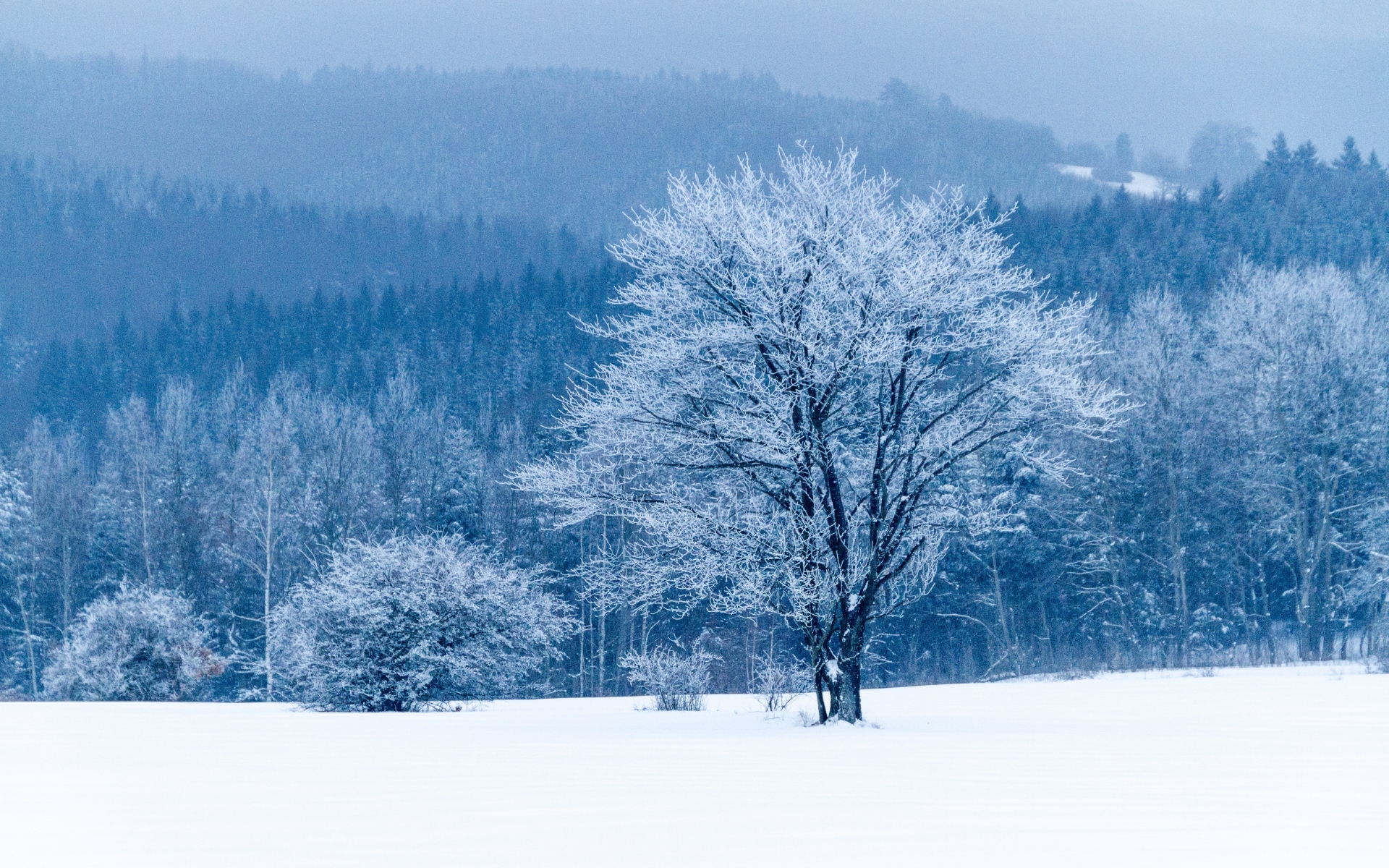高清风景图片 冬季雪景唯美自然风光高清图片