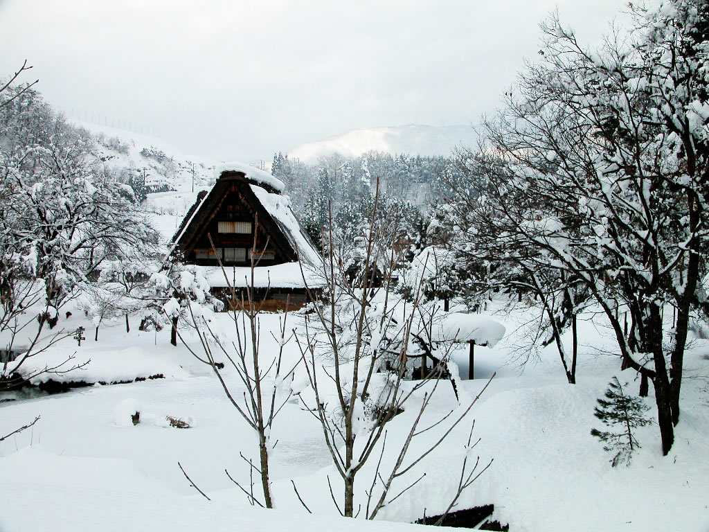 农村雪景图片真实的 农村最美雪景图片大全(2)