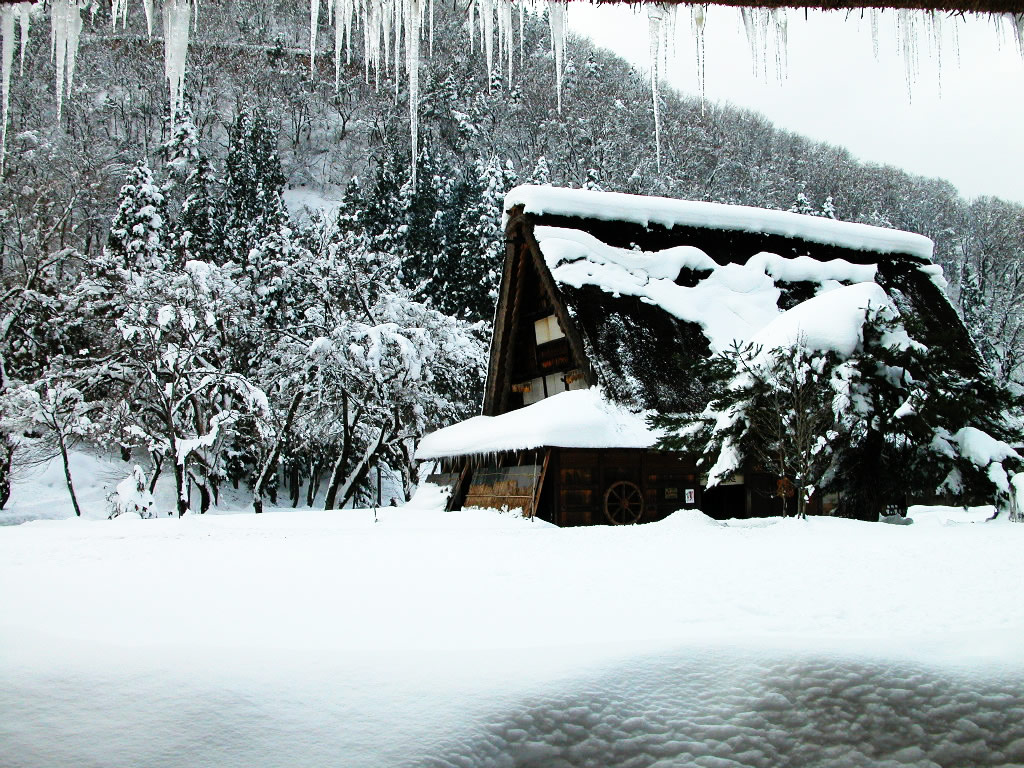 农村雪景图片真实的 农村最美雪景图片大全(3)