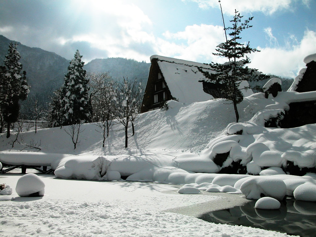 农村雪景图片真实的 农村最美雪景图片大全(5)