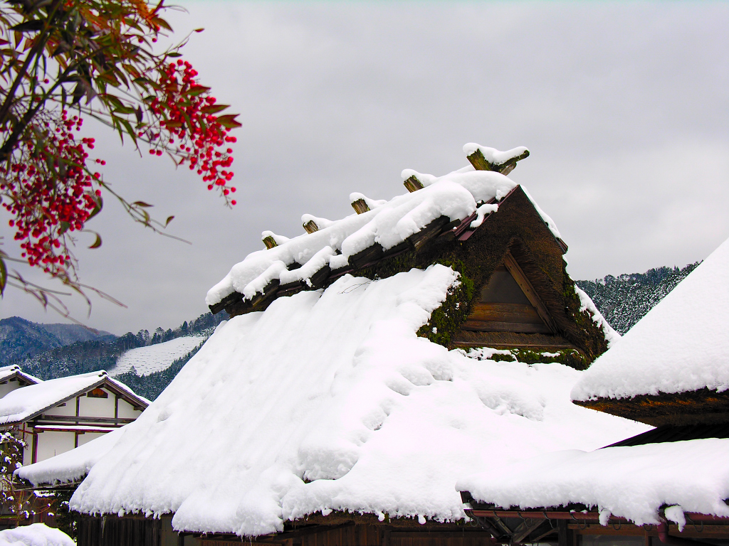 农村雪景图片真实的 农村最美雪景图片大全(4)
