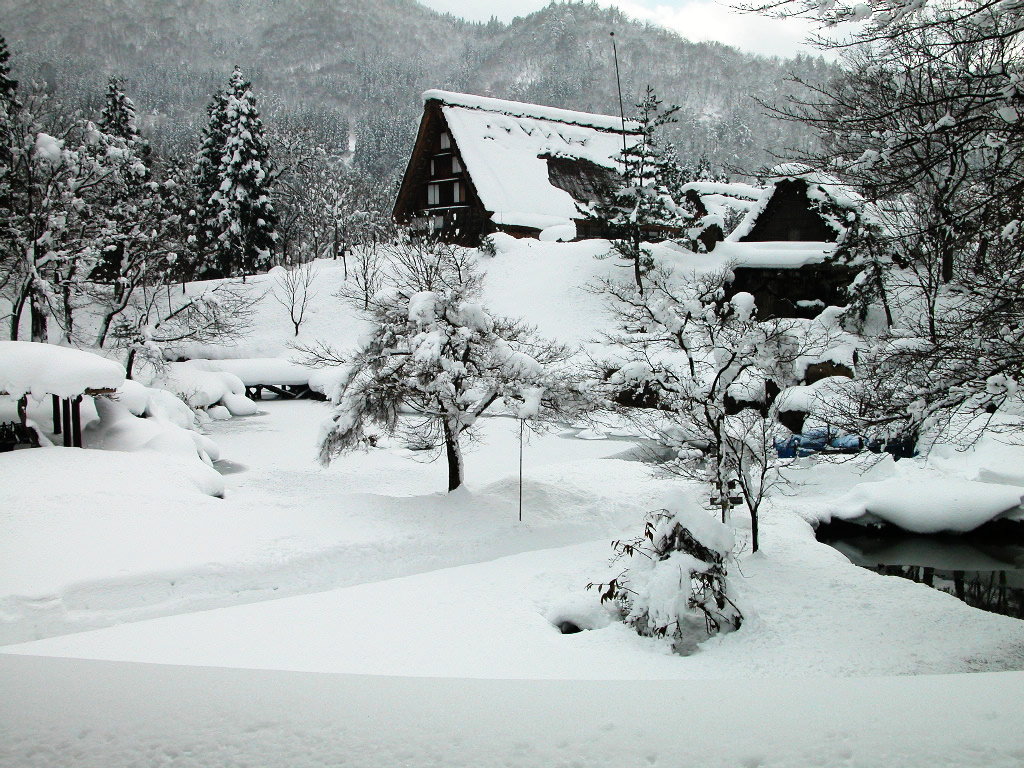 农村雪景图片真实的 农村最美雪景图片大全(8)