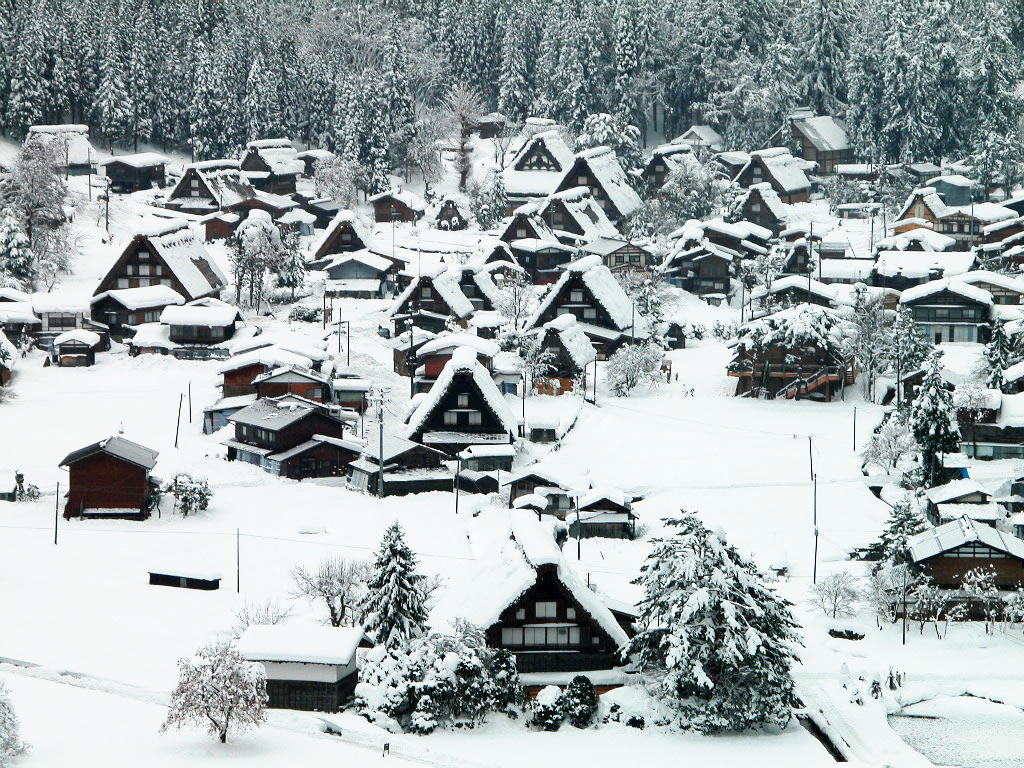 农村雪景图片真实的 农村最美雪景图片大全(6)