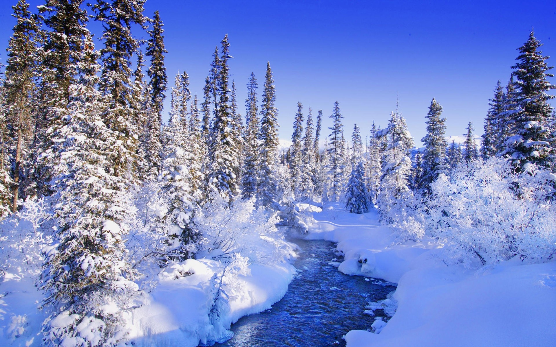 自然风景摄影图片 唯美雪景自然风光高清图片(2)