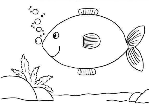 鱼儿简笔画图片 鱼儿的简笔画图片大全(3)