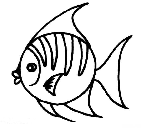 鱼儿简笔画图片 鱼儿的简笔画图片大全(6)