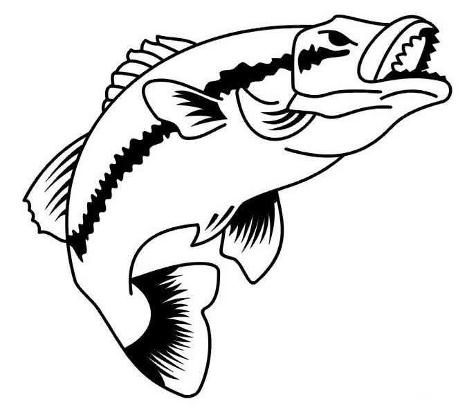 鱼儿简笔画图片 鱼儿的简笔画图片大全(7)