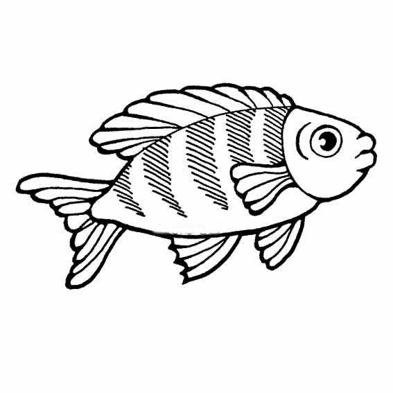 鱼儿简笔画图片 鱼儿的简笔画图片大全(8)