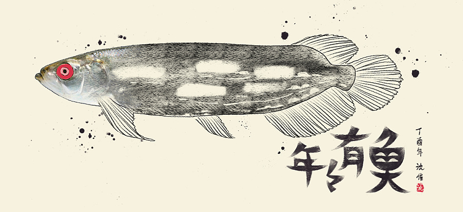 创意黑白插画手绘图片 鱼的手绘黑白图片(8)