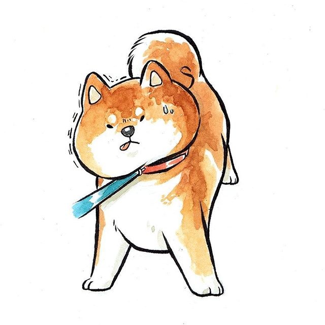 治愈系的插画 小柴犬插画图片(4)