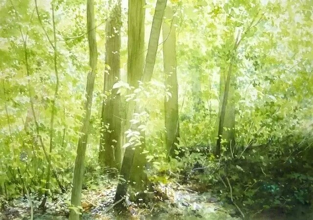 简单唯美的森林水彩图 简单唯美的绿树水彩图(3)