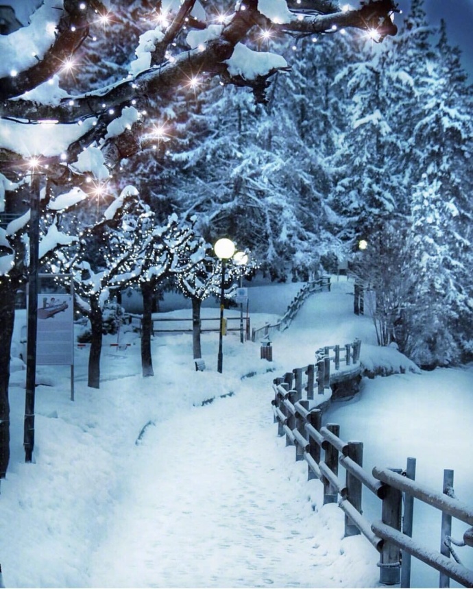 唯美雪景图片 关于雪景的图片(4)