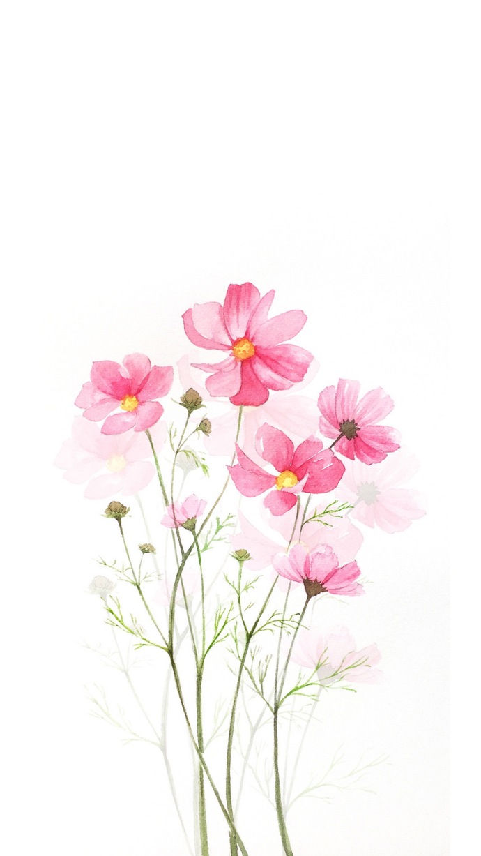 手绘植物花卉图片 唯美意境的植物组图(4)