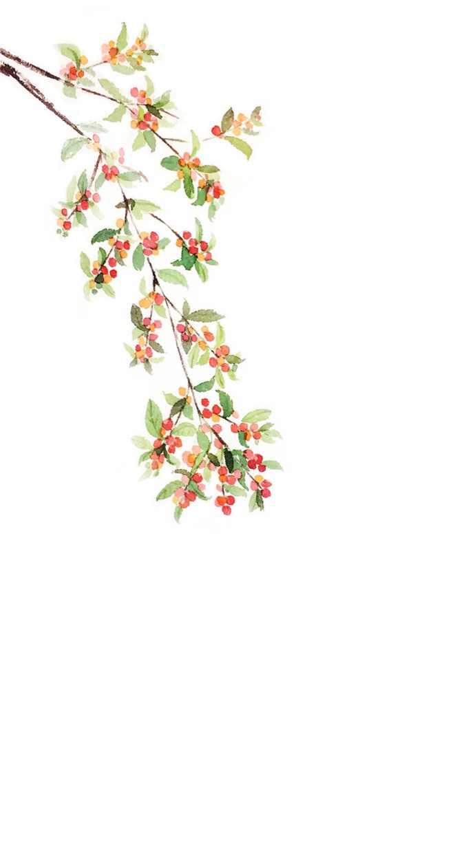 手绘植物花卉图片 唯美意境的植物组图(8)