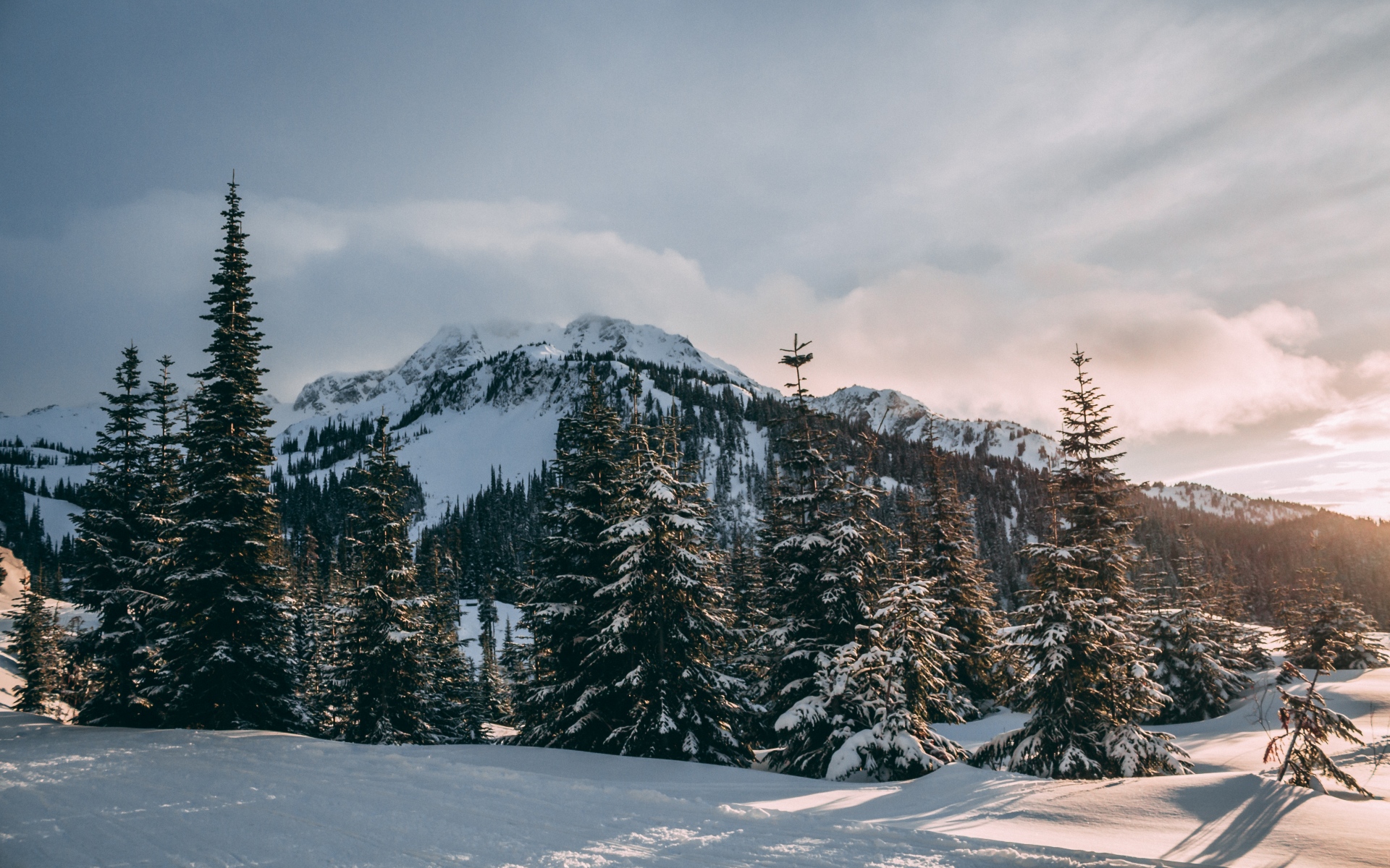 高清风景图片大全 冬季唯美白色雪景高清摄影图片(5)