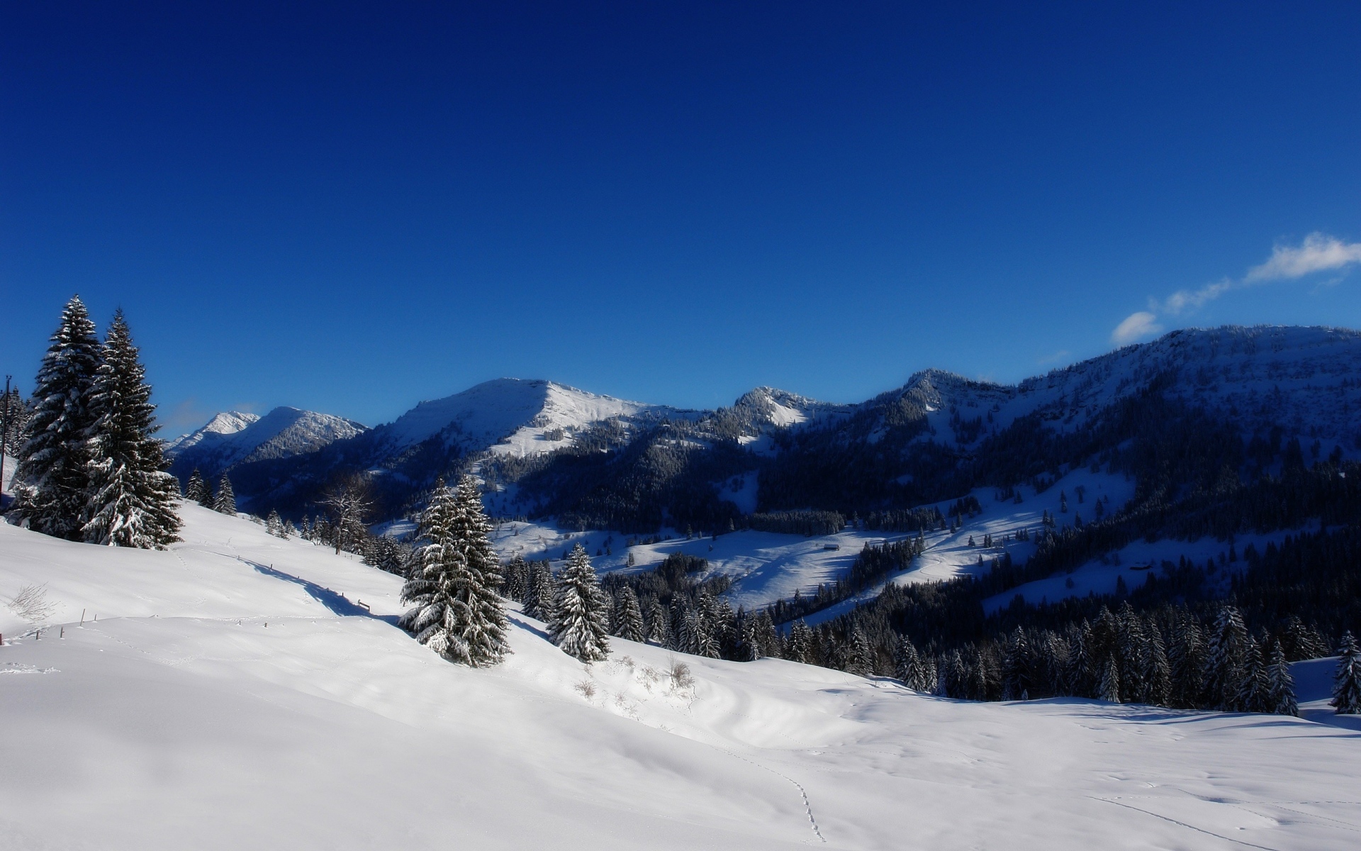 高清风景图片大全 冬季唯美白色雪景高清摄影图片(7)
