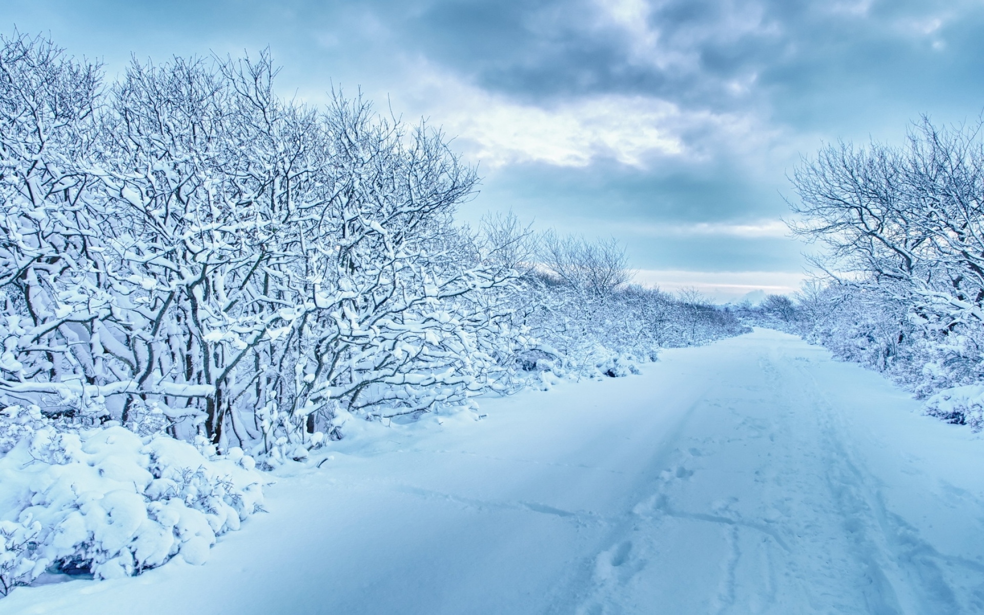 世界优美风景图片 大自然冬季雪景高清图片(7)