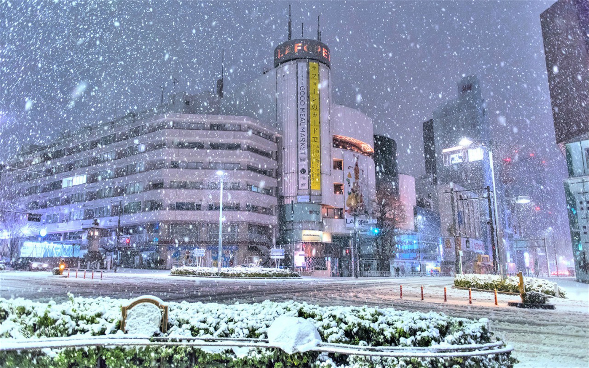 城市雪景图片大全 东京城市雪景图片(4)