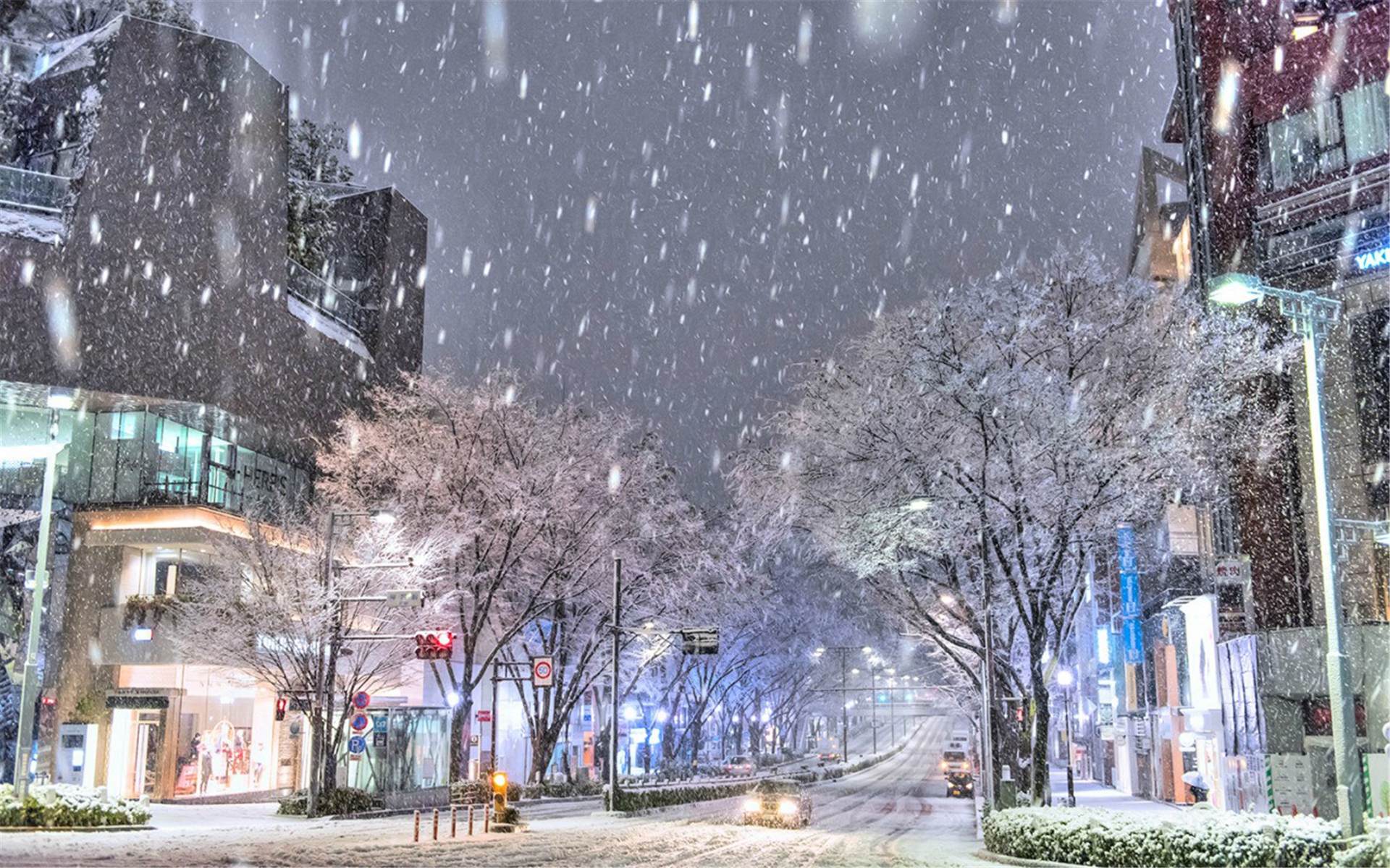 城市雪景图片大全 东京城市雪景图片(8)
