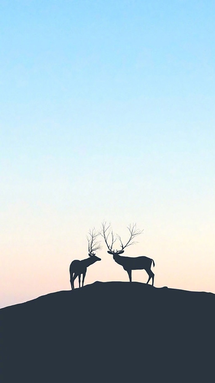 清新森系鹿图片壁纸 鹿的剪影图片