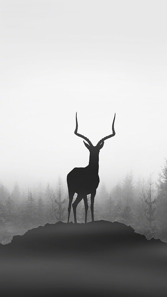 清新森系鹿图片壁纸 鹿的剪影图片(3)