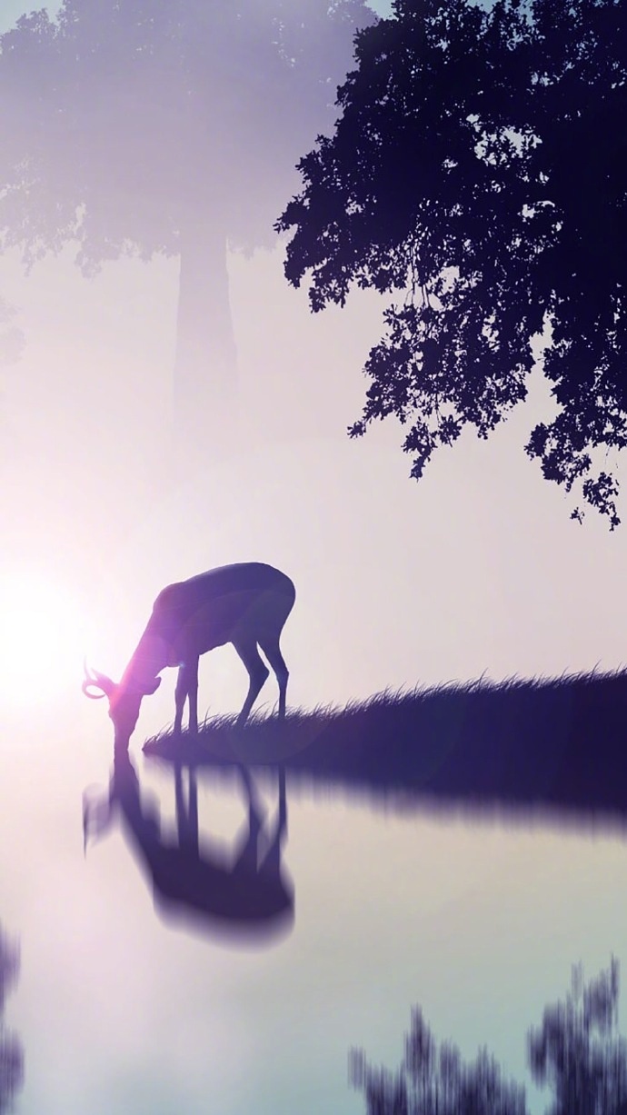 清新森系鹿图片壁纸 鹿的剪影图片(4)