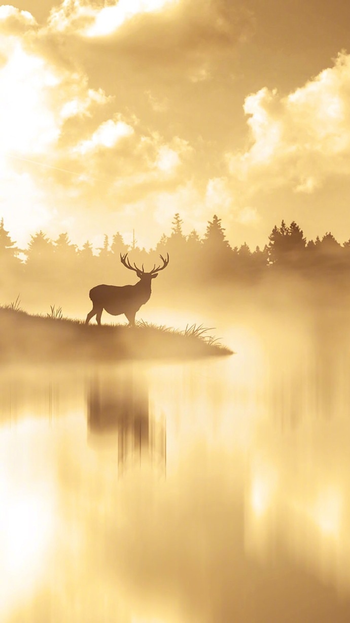 清新森系鹿图片壁纸 鹿的剪影图片(5)