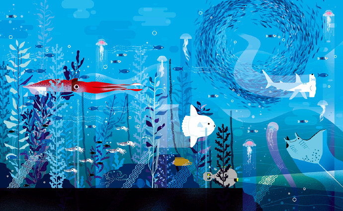 森系治愈手绘插画 海底世界插画图片(3)