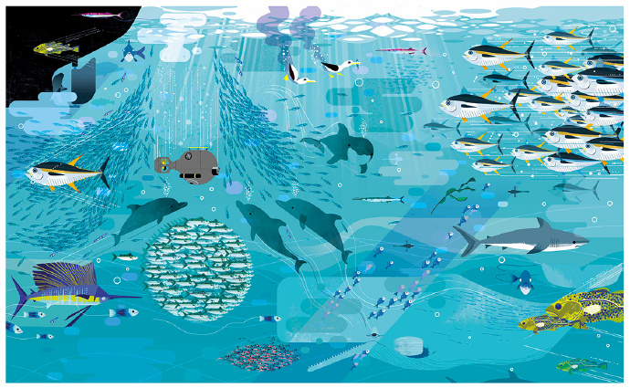 森系治愈手绘插画 海底世界插画图片(6)