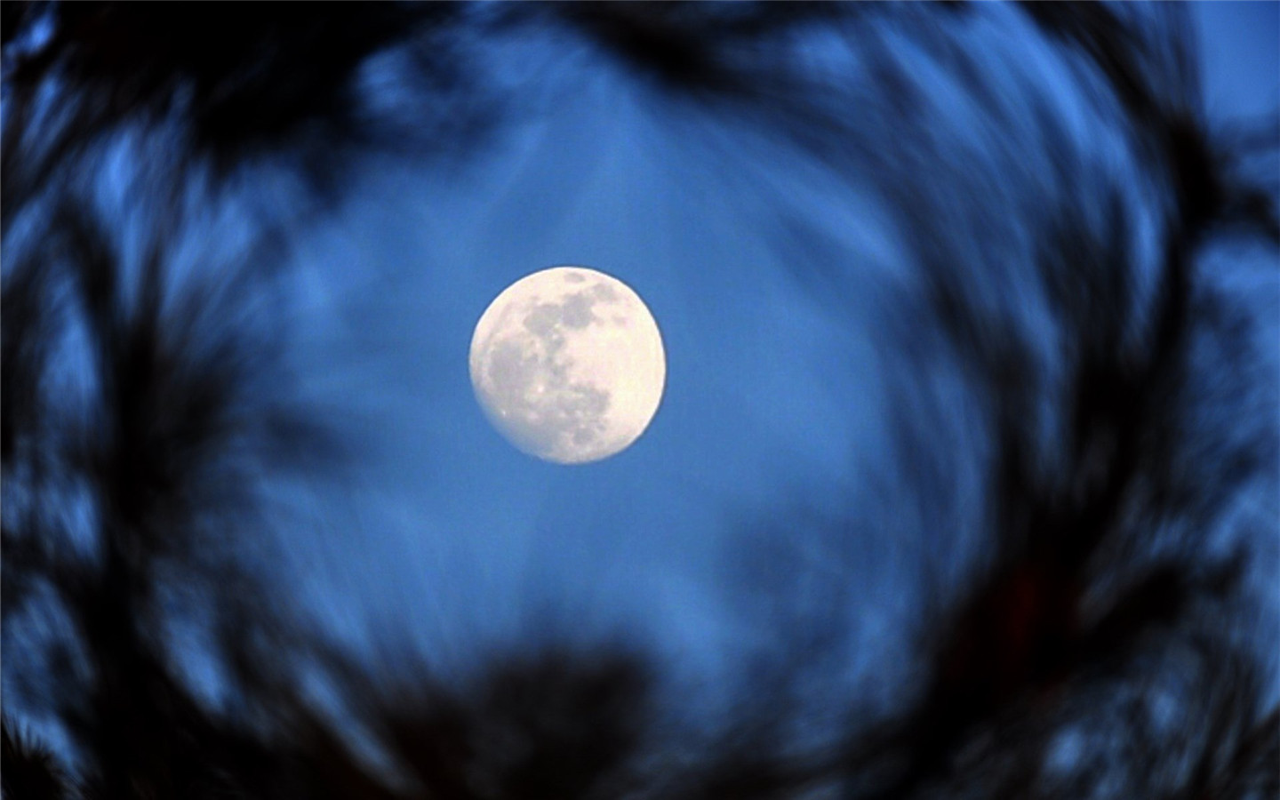 月亮图片大全素材 美丽的月亮的图片大全(8)