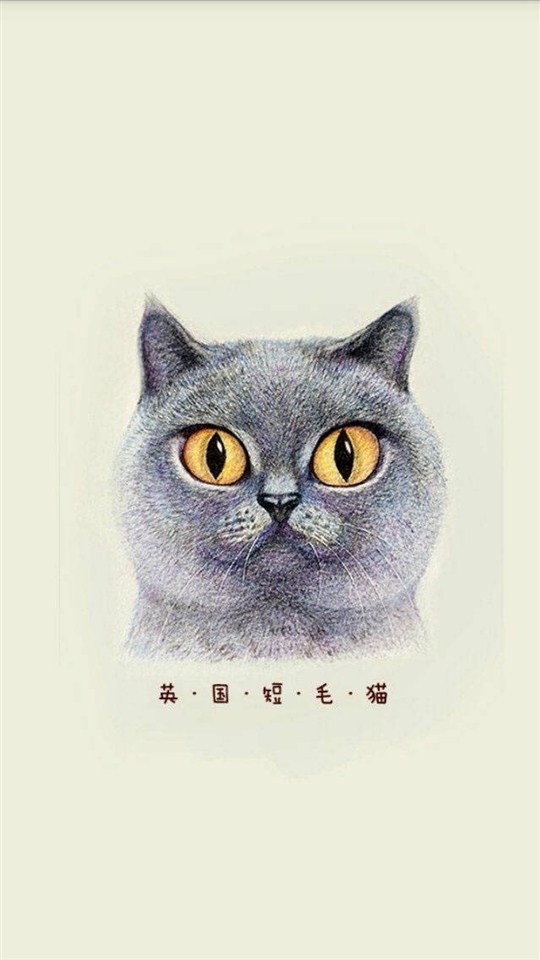 猫咪插画手绘图片大全 可爱猫咪手绘图片(5)