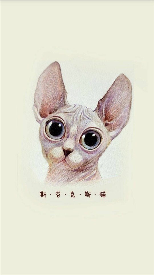 猫咪插画手绘图片大全 可爱猫咪手绘图片(3)