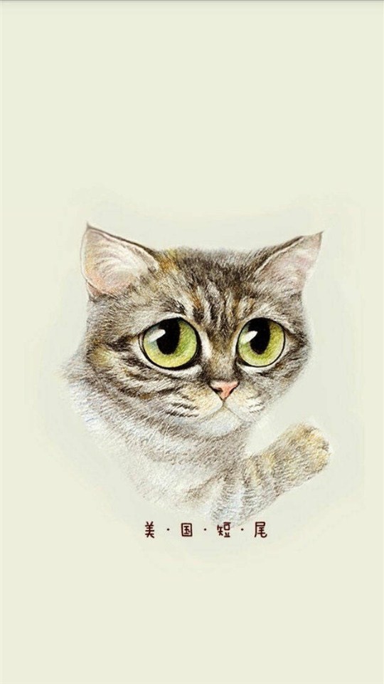 猫咪插画手绘图片大全 可爱猫咪手绘图片(7)