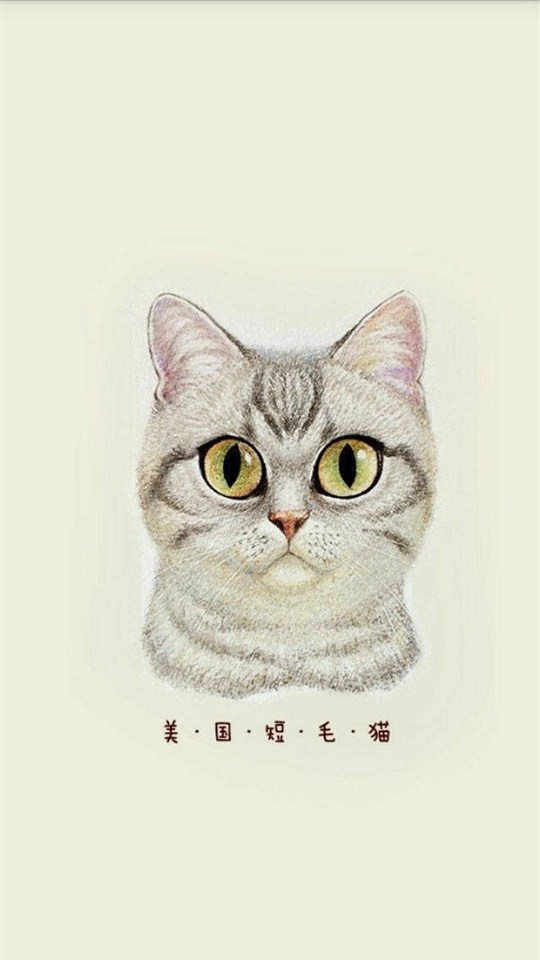 猫咪插画手绘图片大全 可爱猫咪手绘图片(8)
