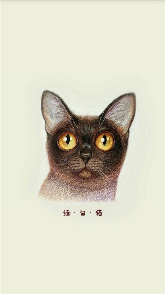 猫咪插画手绘图片大全 可爱猫咪手绘图片(6)