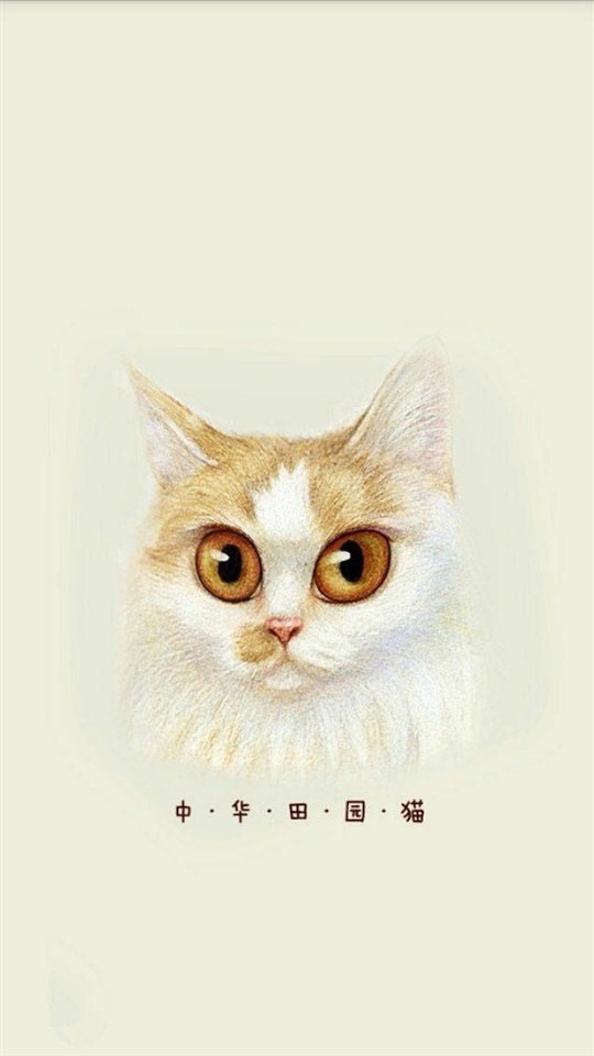 猫咪插画手绘图片大全 可爱猫咪手绘图片(9)