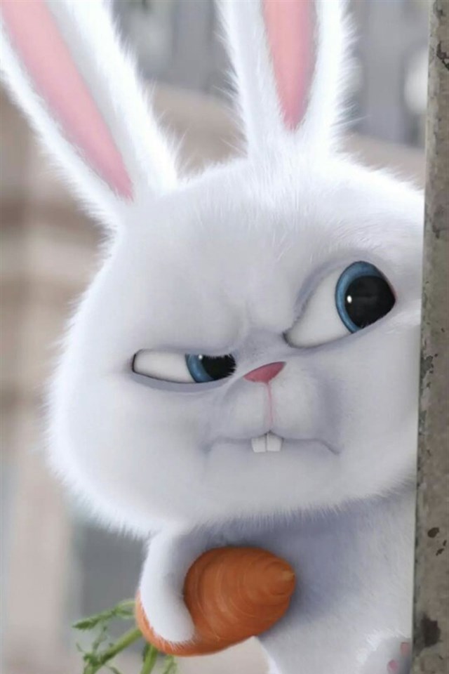 动漫电影爱宠大机密里的小兔子图片 动漫电影爱宠大机密里的小兔(7)