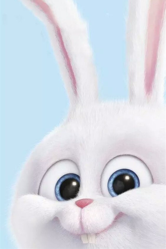 动漫电影爱宠大机密里的小兔子图片 动漫电影爱宠大机密里的小兔(8)