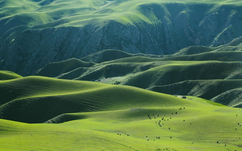 新疆大峡谷风景图片