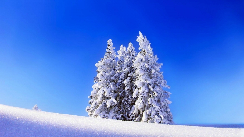 冬季绝美大自然雪景高清图片