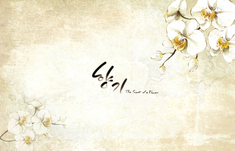 小清新背景图片大全 韩国花朵插画风格背景