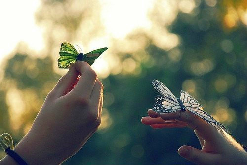 唯美人与蝴蝶和谐共处风景图片